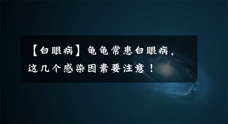 【白眼病】龟龟常患白眼病，这几个感染因素要注意！