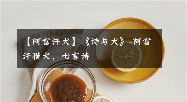 【阿富汗犬】《诗与犬》-阿富汗猎犬，七言诗