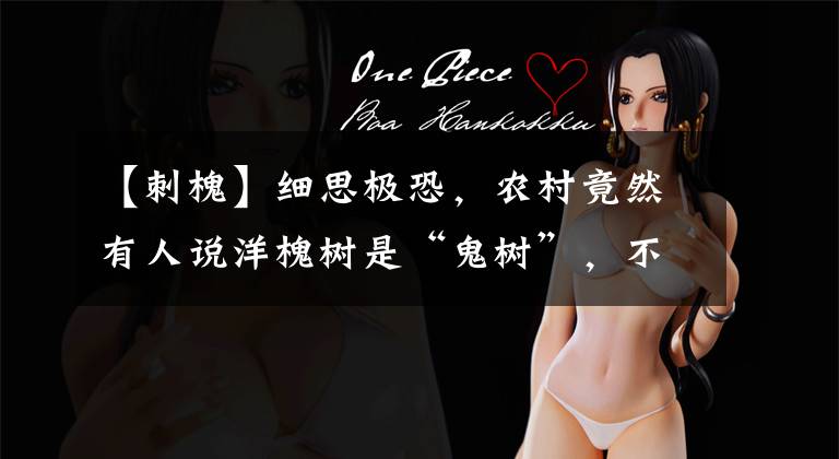 【刺槐】细思极恐,农村竟然有人说洋槐树是“鬼树”,不懂科学真的很可怕