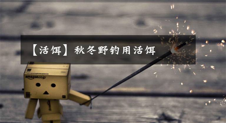 【活饵】秋冬野钓用活饵