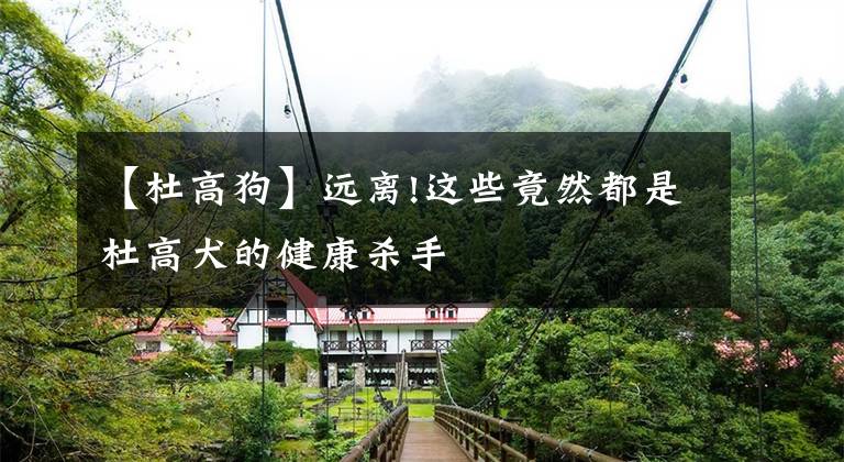 【杜高狗】远离!这些竟然都是杜高犬的健康杀手