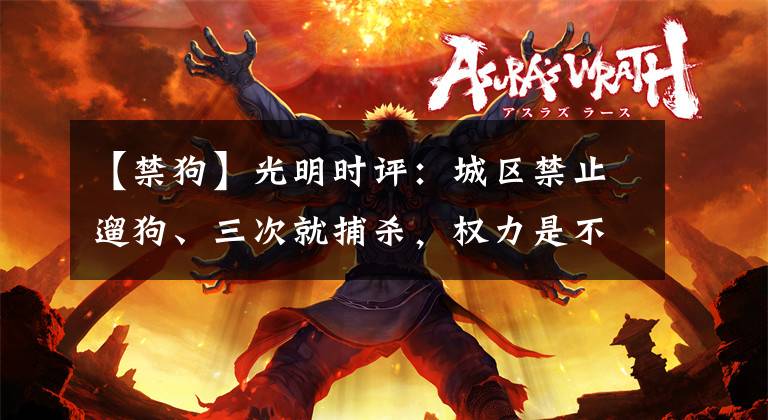 【禁狗】光明时评：城区禁止遛狗、三次就捕杀，权力是不是任性了？