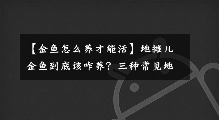 【金鱼怎么养才能活】地摊儿金鱼到底该咋养?三种常见地摊儿鱼,三个养鱼套路全搞定