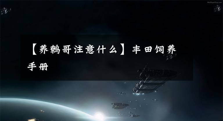 【养鹩哥注意什么】丰田饲养手册