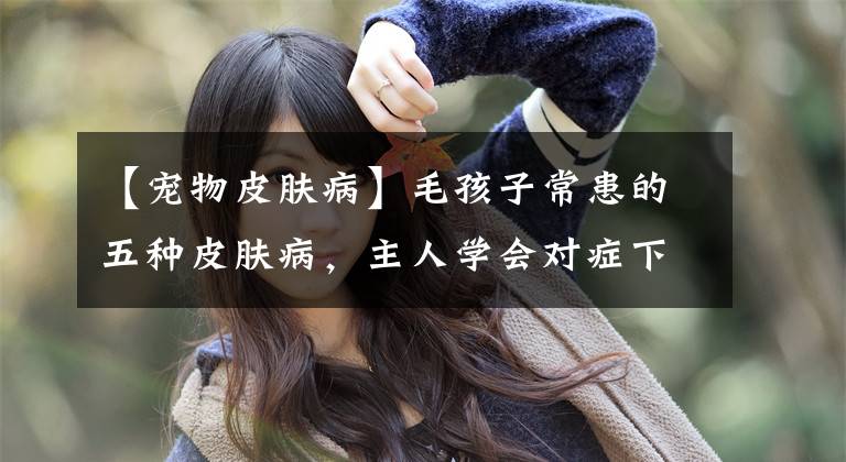 【宠物皮肤病】毛孩子常患的五种皮肤病，主人学会对症下药，才能帮狗狗止痒