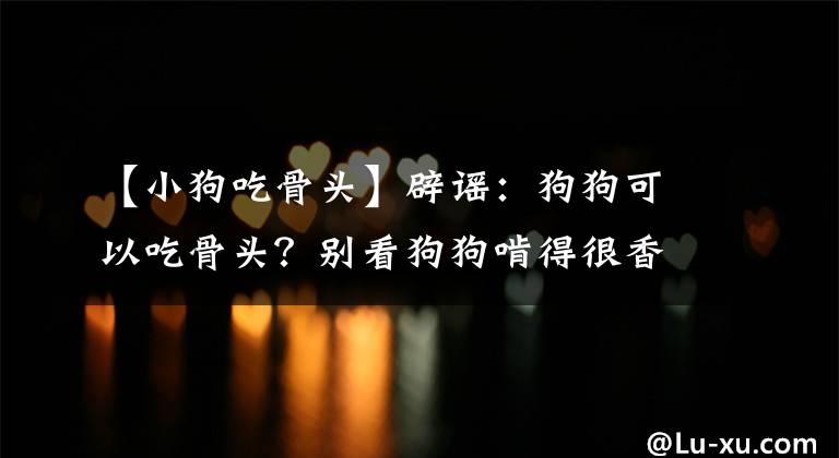 【小狗吃骨头】辟谣：狗狗可以吃骨头？别看狗狗啃得很香，下一秒可能就会窒息