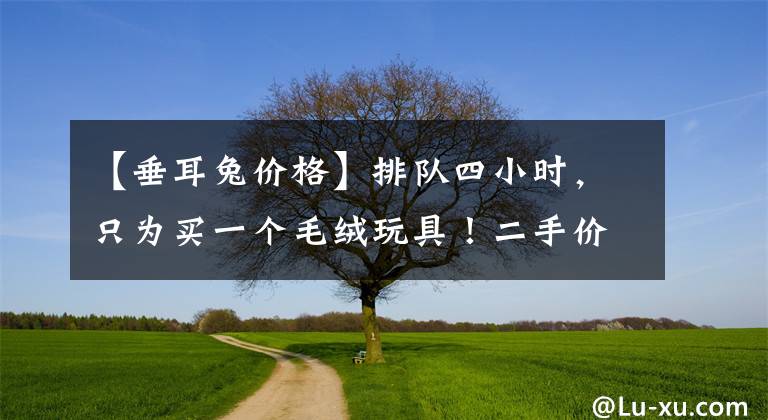 【垂耳兔价格】排队四小时，只为买一个毛绒玩具！二手价格最高暴涨8倍，网友惊呼：这是在买爱马仕吗？