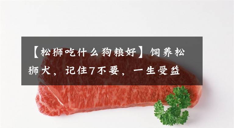 【松狮吃什么狗粮好】饲养松狮犬，记住7不要，一生受益