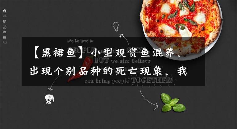 【黑裙鱼】小型观赏鱼混养,出现个别品种的死亡现象,我们该如何处理?