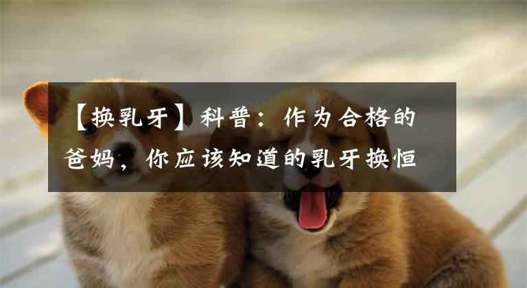 【换乳牙】科普：作为合格的爸妈，你应该知道的乳牙换恒牙知识