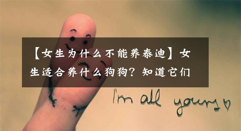 【女生为什么不能养泰迪】女生适合养什么狗狗？知道它们的优缺点，你会改变想法