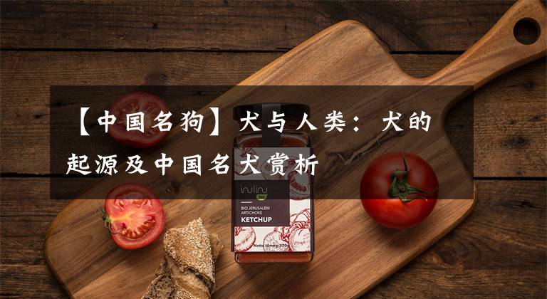 【中国名狗】犬与人类:犬的起源及中国名犬赏析