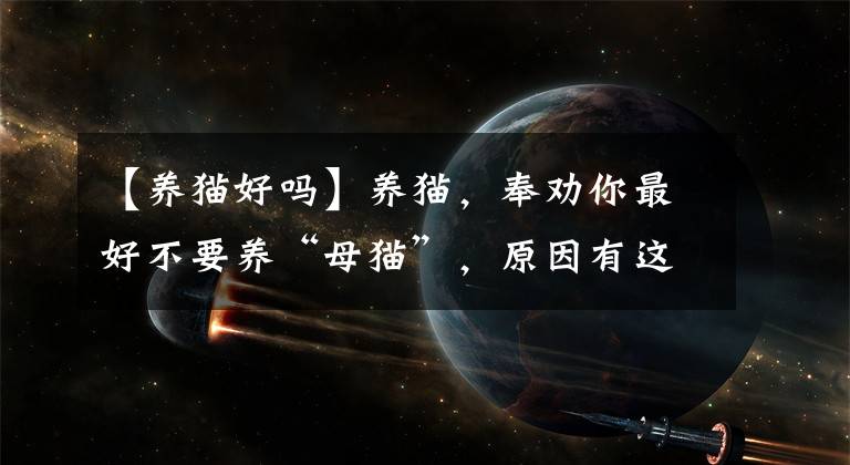 【养猫好吗】养猫，奉劝你最好不要养“母猫”，原因有这些