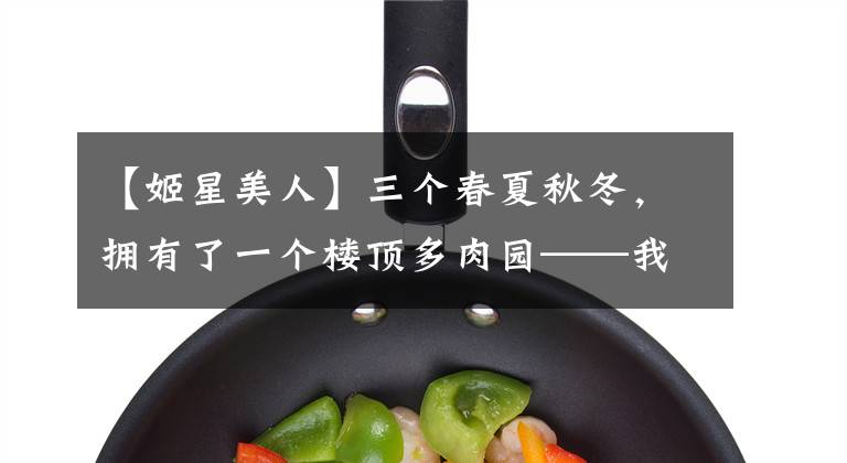 【姬星美人】三个春夏秋冬，拥有了一个楼顶多肉园——我的诗和远方！