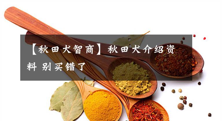 【秋田犬智商】秋田犬介绍资料 别买错了