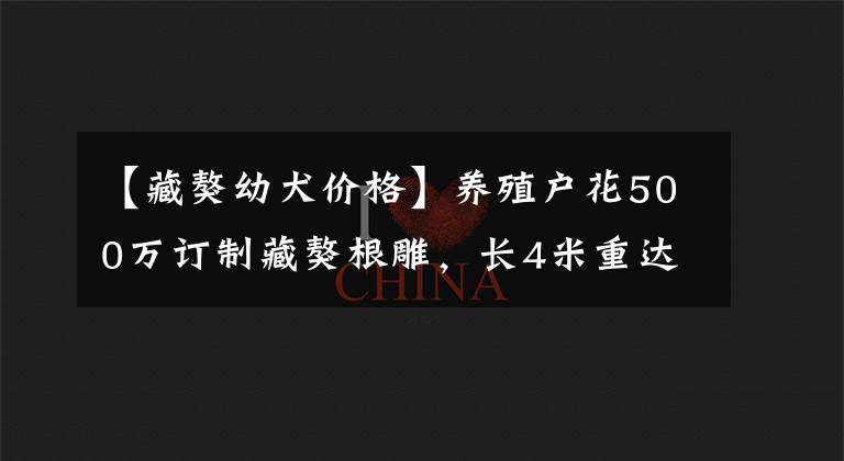 【藏獒幼犬价格】养殖户花500万订制藏獒根雕,长4米重达3吨,如今“烂”成废柴