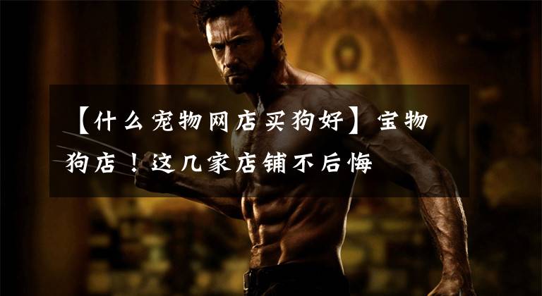 【什么宠物网店买狗好】宝物狗店！这几家店铺不后悔