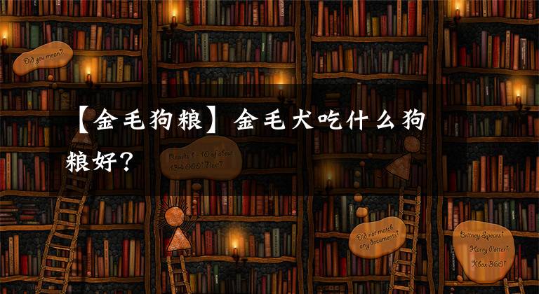 【金毛狗粮】金毛犬吃什么狗粮好？