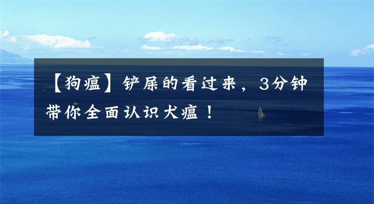 【狗瘟】铲屎的看过来,3分钟带你全面认识犬瘟!