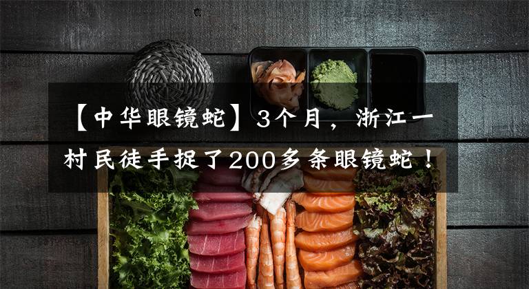 【中华眼镜蛇】3个月,浙江一村民徒手捉了200多条眼镜蛇!麻烦大了……