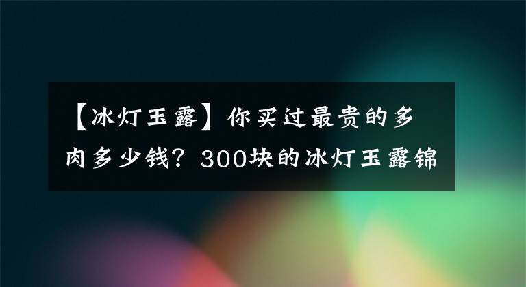 【冰灯玉露】你买过最贵的多肉多少钱？300块的冰灯玉露锦，很多人都说不值