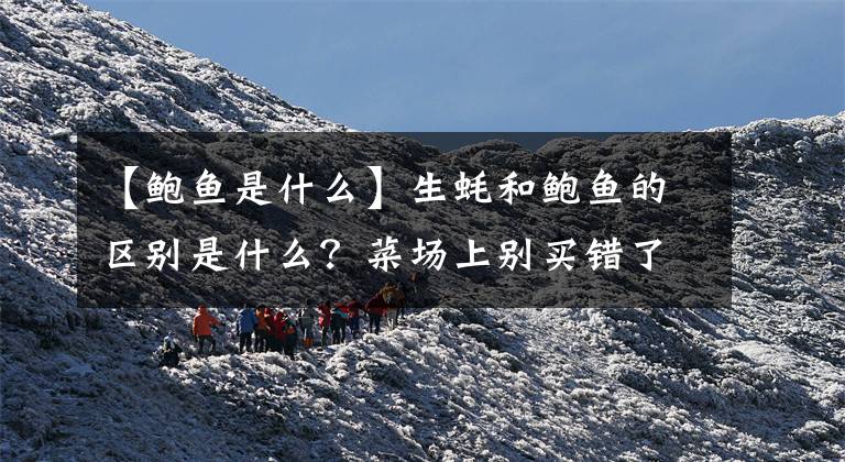 【鲍鱼是什么】生蚝和鲍鱼的区别是什么?菜场上别买错了