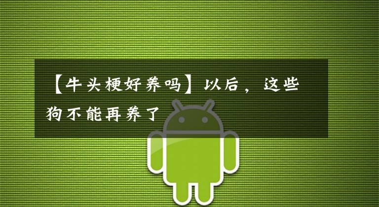 【牛头梗好养吗】以后，这些狗不能再养了