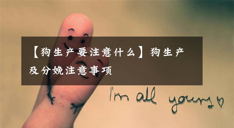 【狗生产要注意什么】狗生产及分娩注意事项
