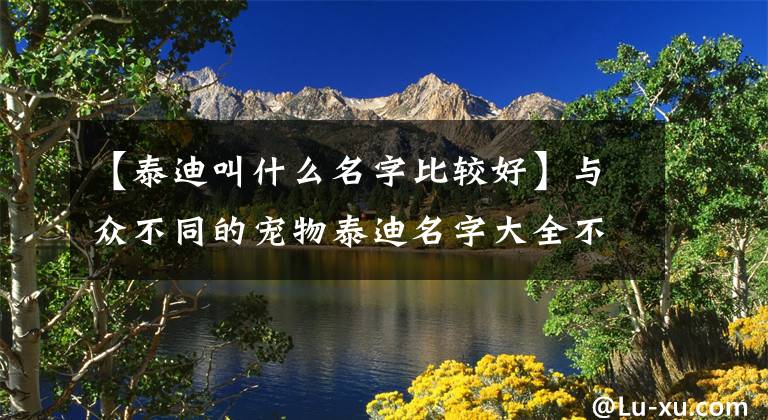 【泰迪叫什么名字比较好】与众不同的宠物泰迪名字大全不同-可爱