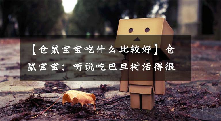 【仓鼠宝宝吃什么比较好】仓鼠宝宝：听说吃巴旦树活得很久，所以一直吃。