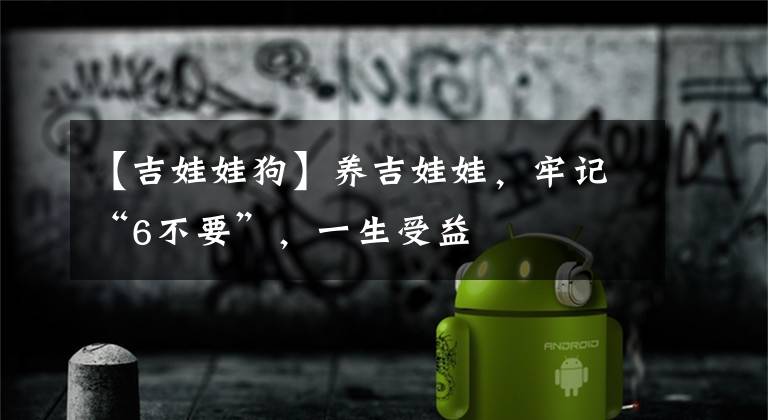 【吉娃娃狗】养吉娃娃，牢记“6不要”，一生受益