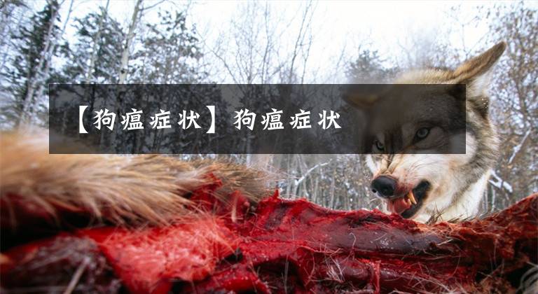 【狗瘟症状】狗瘟症状