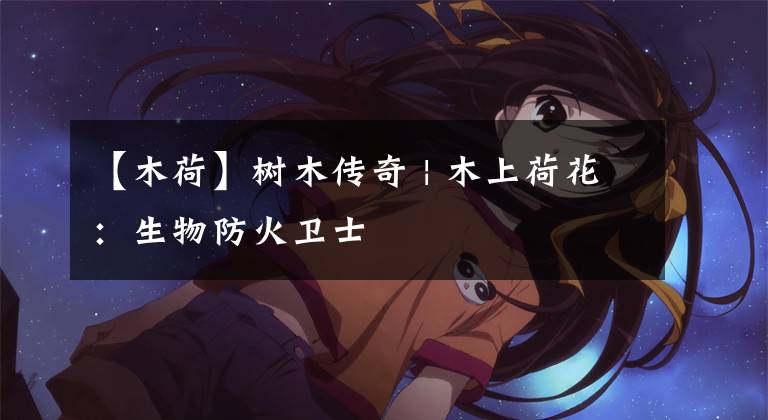 【木荷】树木传奇 | 木上荷花：生物防火卫士