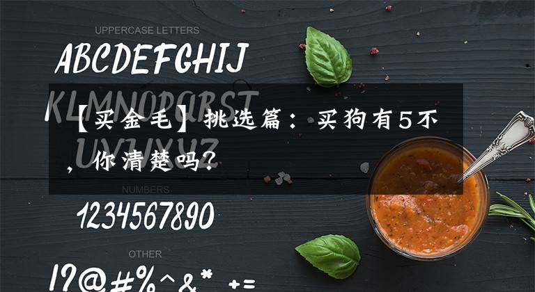 【买金毛】挑选篇:买狗有5不,你清楚吗?