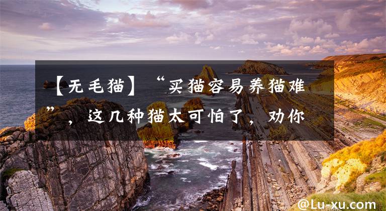 【无毛猫】“买猫容易养猫难”，这几种猫太可怕了，劝你想清楚再养