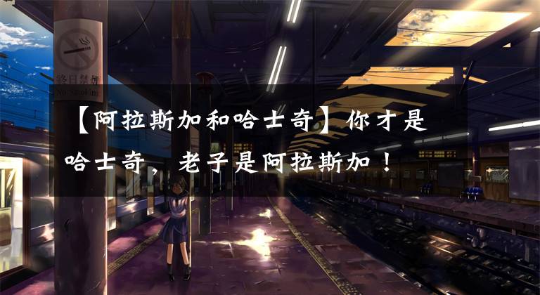 【阿拉斯加和哈士奇】你才是哈士奇，老子是阿拉斯加！