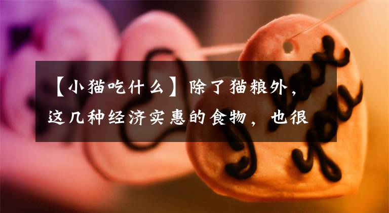 【小猫吃什么】除了猫粮外，这几种经济实惠的食物，也很适合猫咪食用