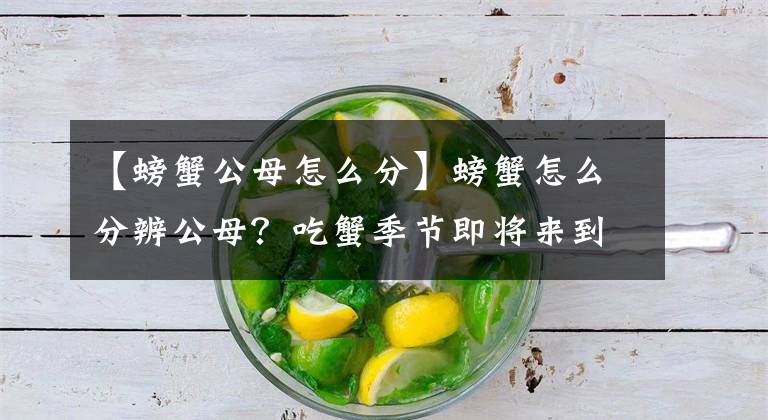 【螃蟹公母怎么分】螃蟹怎么分辨公母?吃蟹季节即将来到,各种美味吃法为您准备好了