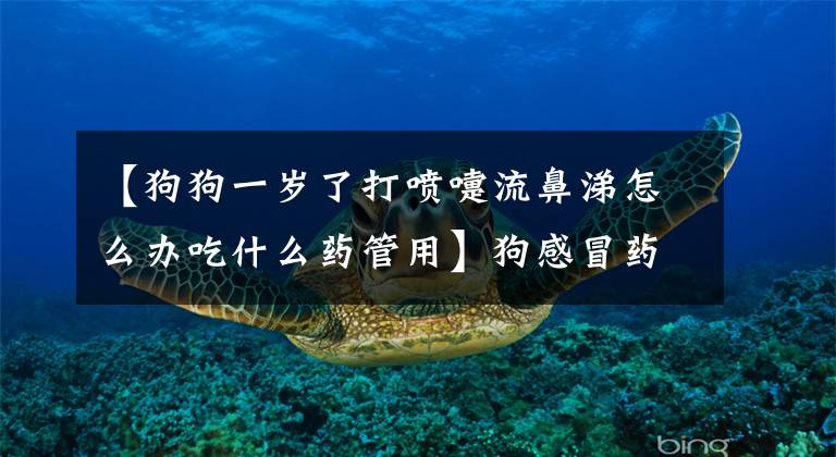 【狗狗一岁了打喷嚏流鼻涕怎么办吃什么药管用】狗感冒药有哪些?人用的东西能吃吗?