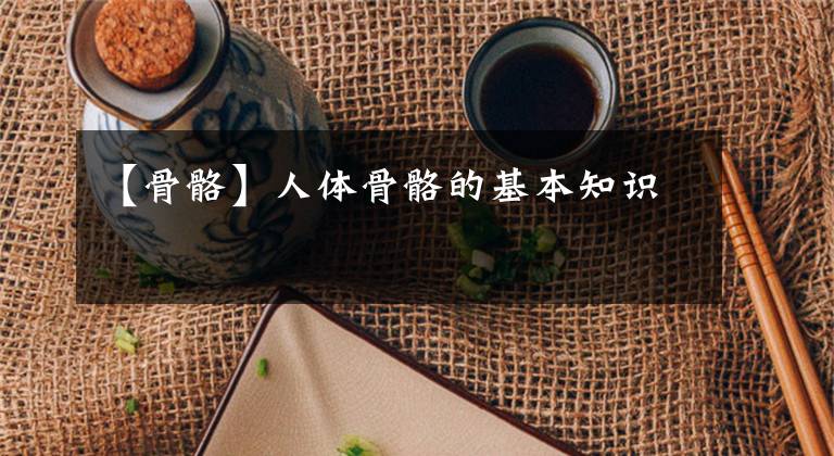 【骨骼】人体骨骼的基本知识