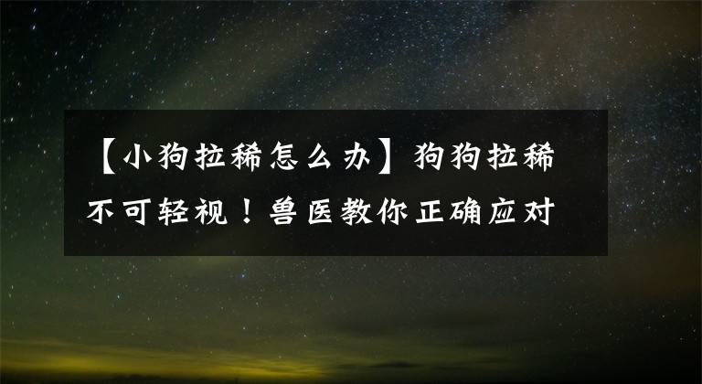【小狗拉稀怎么办】狗狗拉稀不可轻视！兽医教你正确应对狗狗拉肚子的八种措施