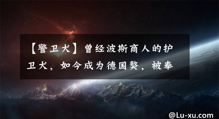 【警卫犬】曾经波斯商人的护卫犬，如今成为德国獒，被奉为“太阳之子”