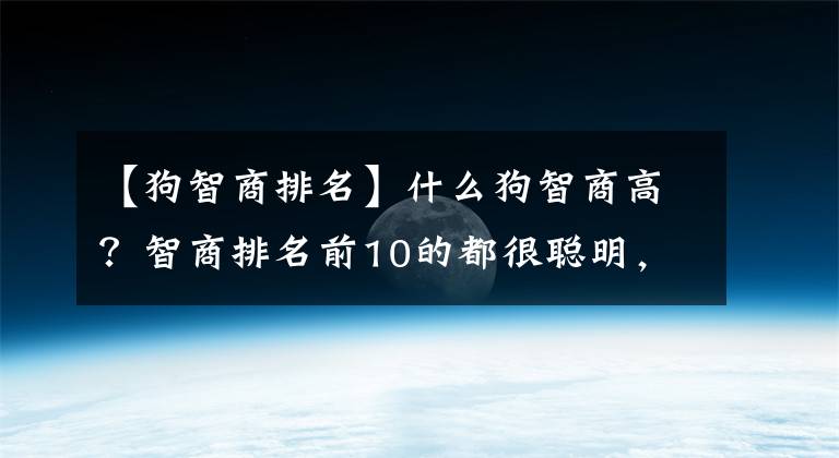 【狗智商排名】什么狗智商高？智商排名前10的都很聪明，养的主人也不少