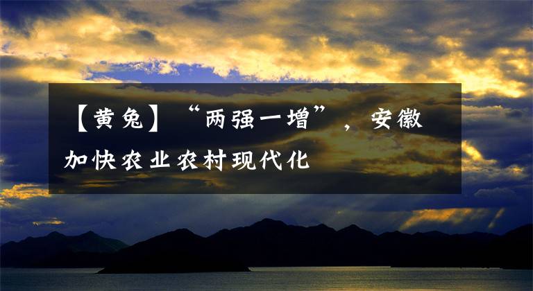 【黄兔】“两强一增”，安徽加快农业农村现代化