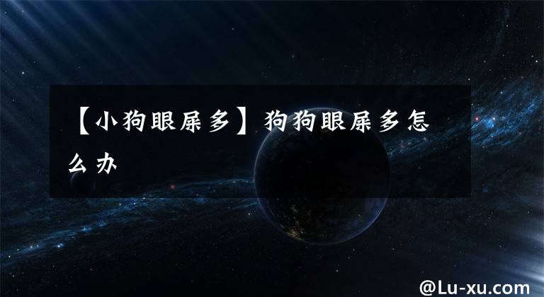 【小狗眼屎多】狗狗眼屎多怎么办