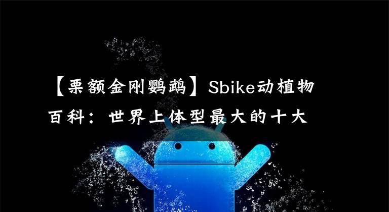 【栗额金刚鹦鹉】Sbike动植物百科:世界上体型最大的十大鸟类排行