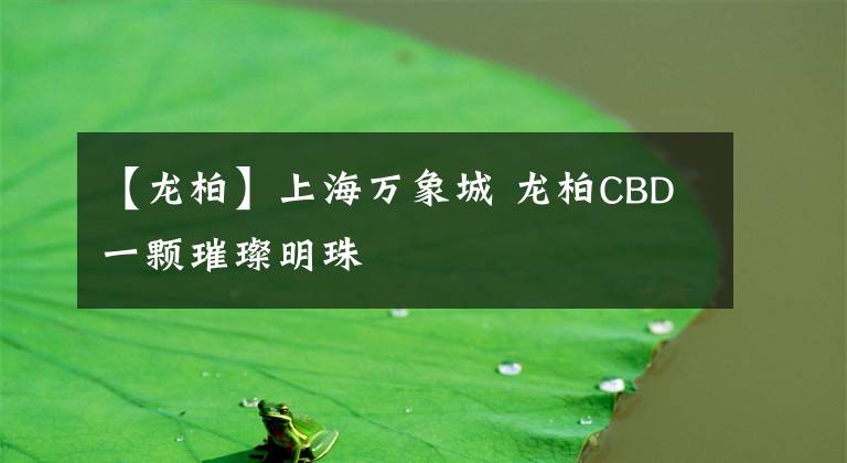 【龙柏】上海万象城 龙柏CBD一颗璀璨明珠