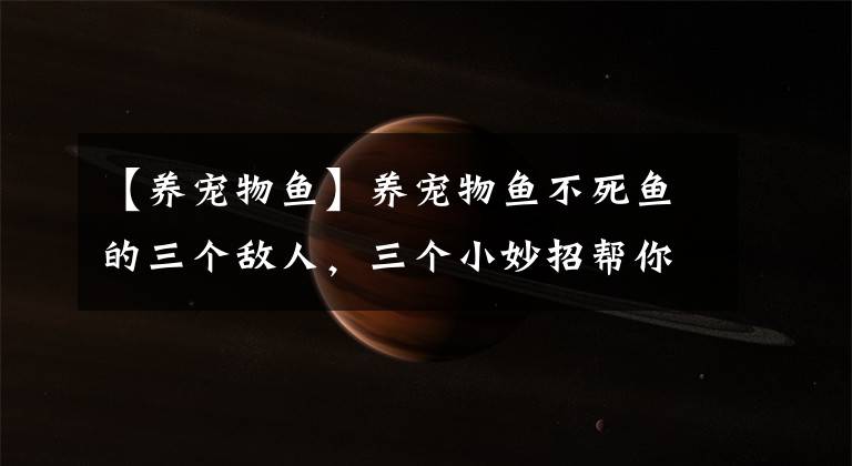 【养宠物鱼】养宠物鱼不死鱼的三个敌人，三个小妙招帮你的鱼缸全部搞定！
