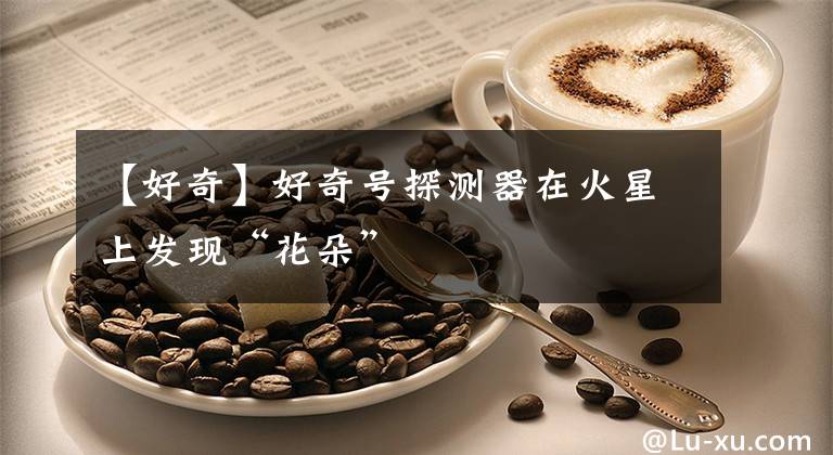 【好奇】好奇号探测器在火星上发现“花朵”