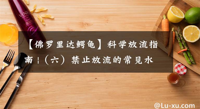 【佛罗里达鳄龟】科学放流指南 |(六)禁止放流的常见水生生物外来种、杂交种和选育种